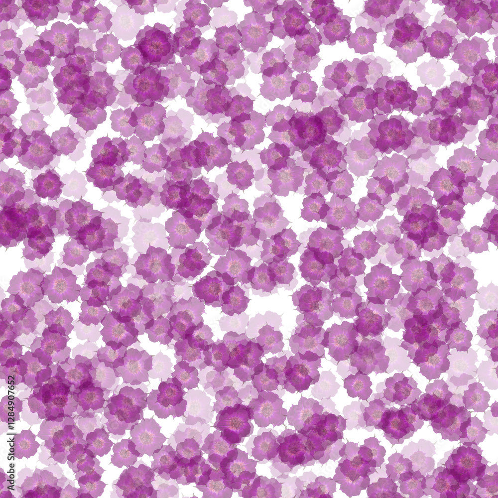 Covered wild roses seamless pattern. Botanical texture with violet realistic pressed dried flowers on white background. Covered wild roses seamless pattern. Botanical texture with violet realistic pressed dried flowers on white background.