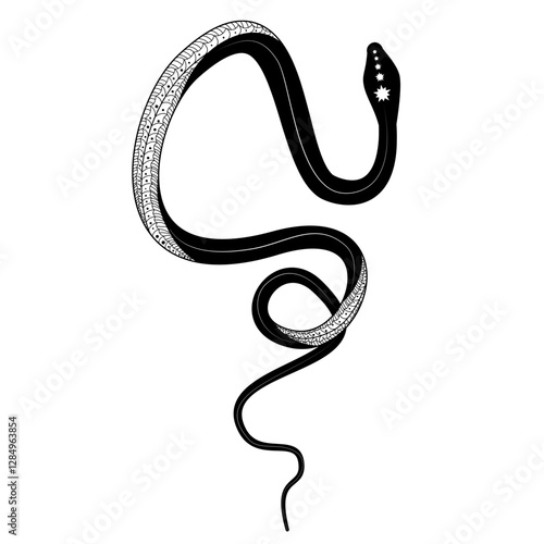 Elegant and whimsical silhouette of a snake intertwining in a graceful dance of doodles and patterns