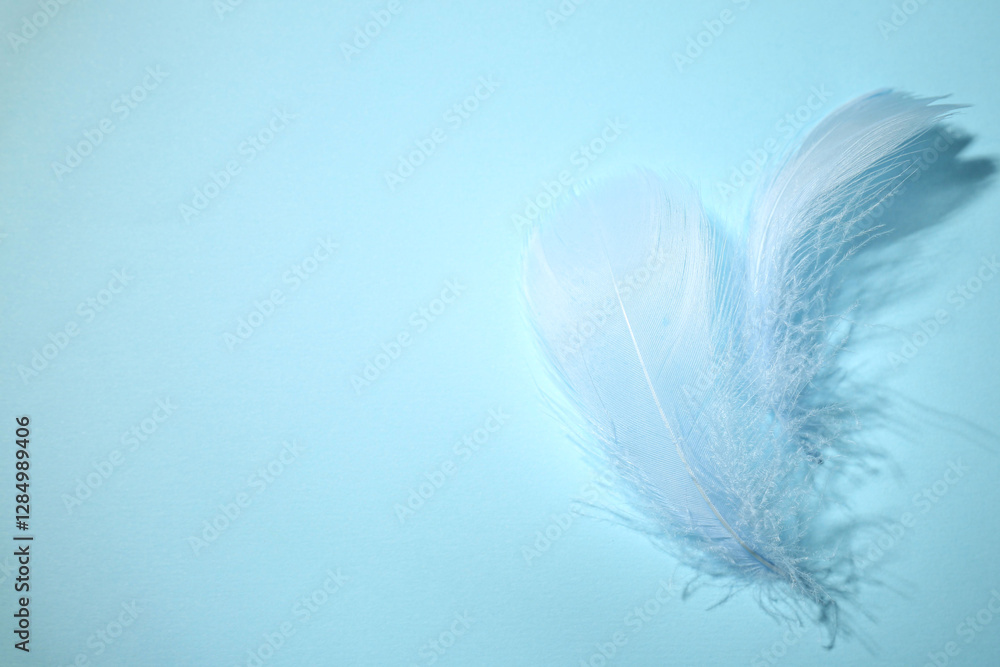 Obraz premium Fluffy feathers on light blue background, top view. Space for text