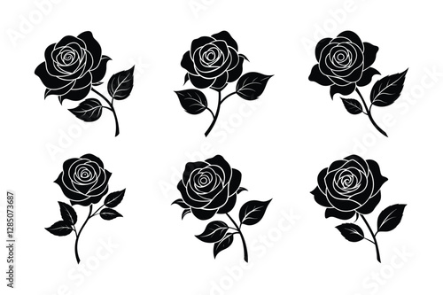 Rose (Rosa spp.) silhouette vector illustration