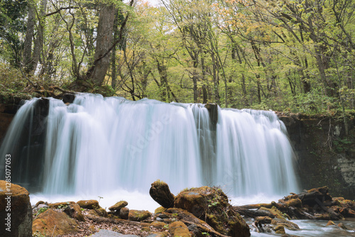 waterfall in the forest