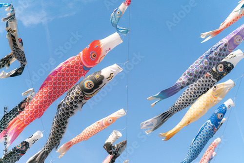 carp streamer