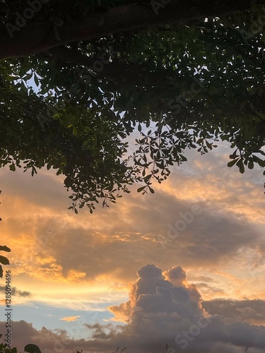 sunset over the river