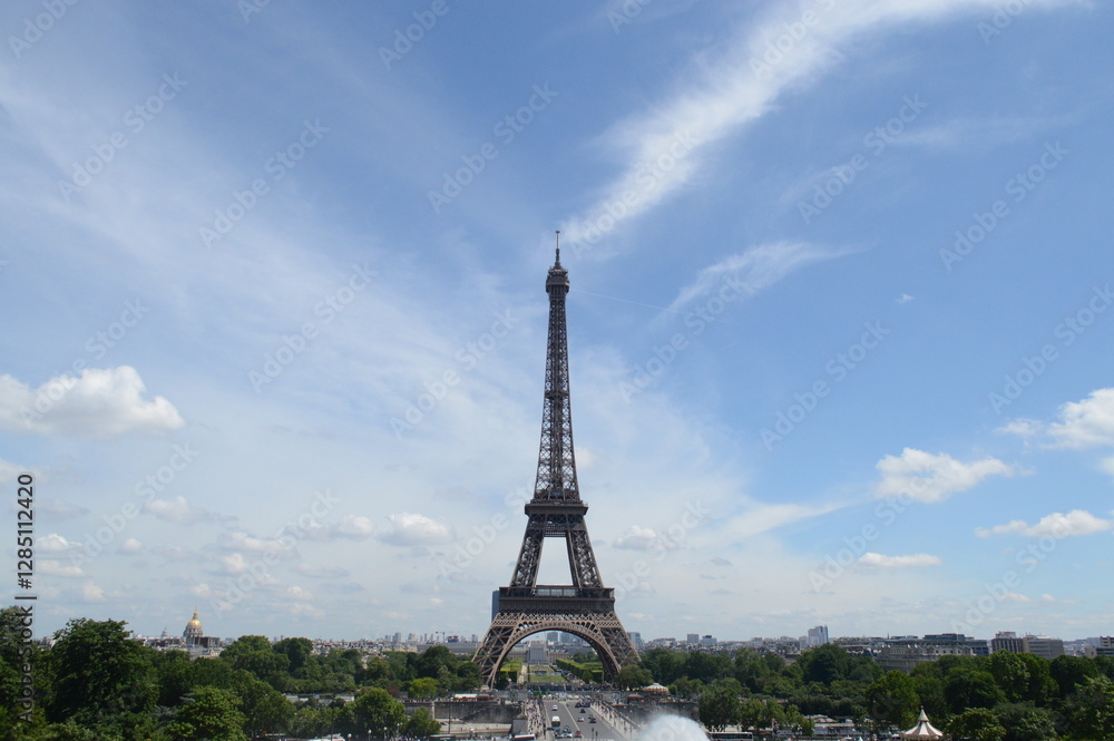Fototapeta premium eiffel tower in paris