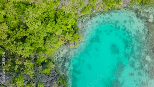 Wallpaper Mural Top view of tropical island with forested hills. Hidden lagoon surrounded by limestone cliffs. Coron, Palawan, Philippines. Torontodigital.ca
