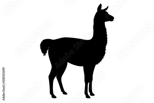 Llama silhouette on white background