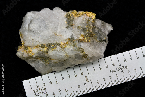 Rare High-grade Gold Ore Specimen from the Homestake Mine at Lead, South Dakota USA - Black Hills Region