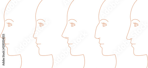 女性の横顔。鼻の形のイラスト