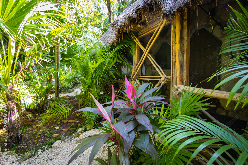 Tropical vacation home getaway in the rainforest