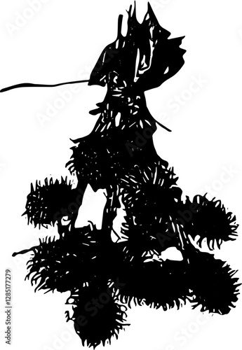 vector hairy fruit