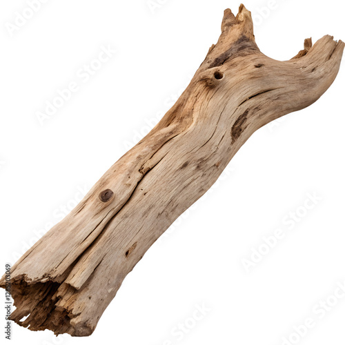 Natural Driftwood isolated on white background