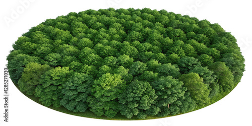 Aerial View of Mangrove Forest Island | Premium Nature Image