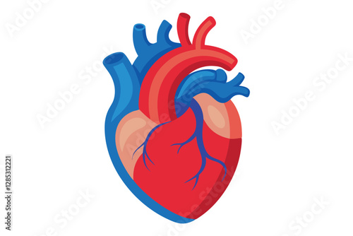 Human Heart Anatomically Correct Hand Drawn Line Art and Dot work. Flash Tattoo or Print Design Vector Illustration.