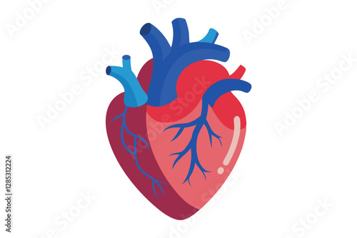 Human Heart Anatomically Correct Hand Drawn Line Art and Dot work. Flash Tattoo or Print Design Vector Illustration.