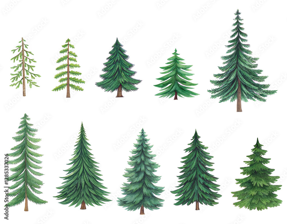 trees collection flat illustration side view clean white background trees collection flat illustration side view clean white background