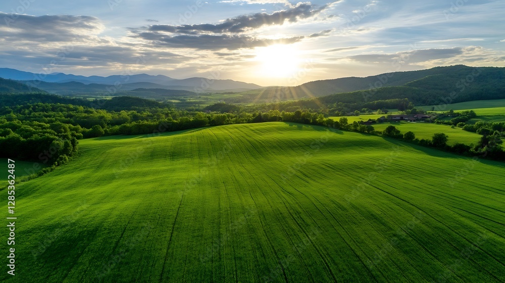 Obraz premium Stunning Sunrise Over Green Rolling Hills in a Rural Landscape : Generative AI