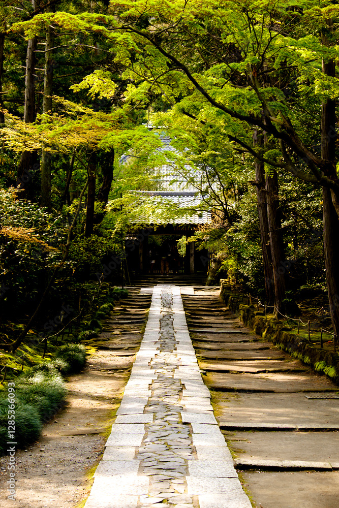 Obraz premium 参道