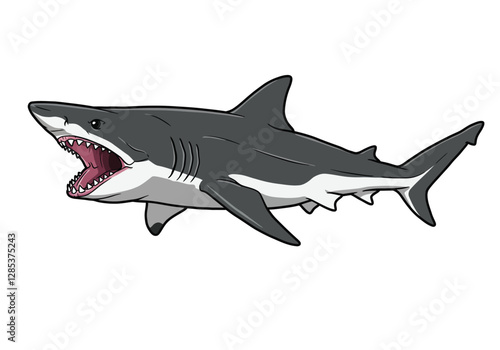 Basking shark clipart illustration design. The image shows a detailed illustration of a shark with an open mouth and sharp teeth. Vector illustration design.