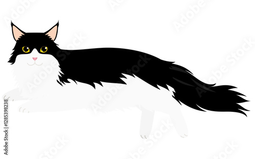 長毛種の猫、白黒バイカラーのメインクーンが寝そべってカメラ目線を向けるイラスト
