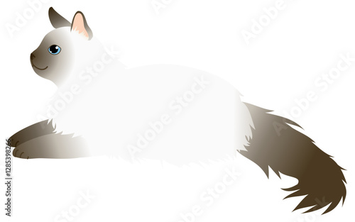 長毛種の猫、チョコレート色のポイントが入ったバリニーズが寝そべっているイラスト