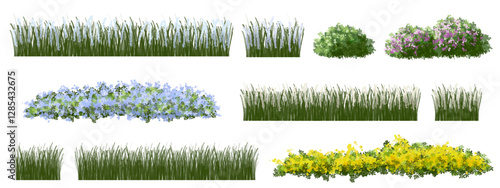 set of grass and meadow, Vector of tree or blooming  side view isolated on white background ,watercolor tree elevation for landscape concept,environment scene,eco design,blossom garden for spring