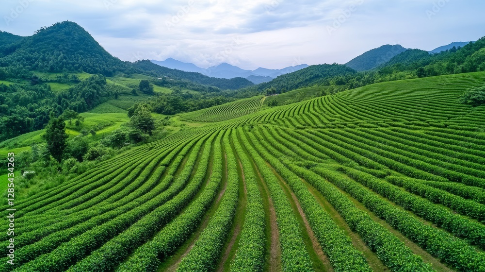 Green Agriculture Artificial Intelligence Generation Illustration Green Agriculture Artificial Intelligence Generation Illustration
