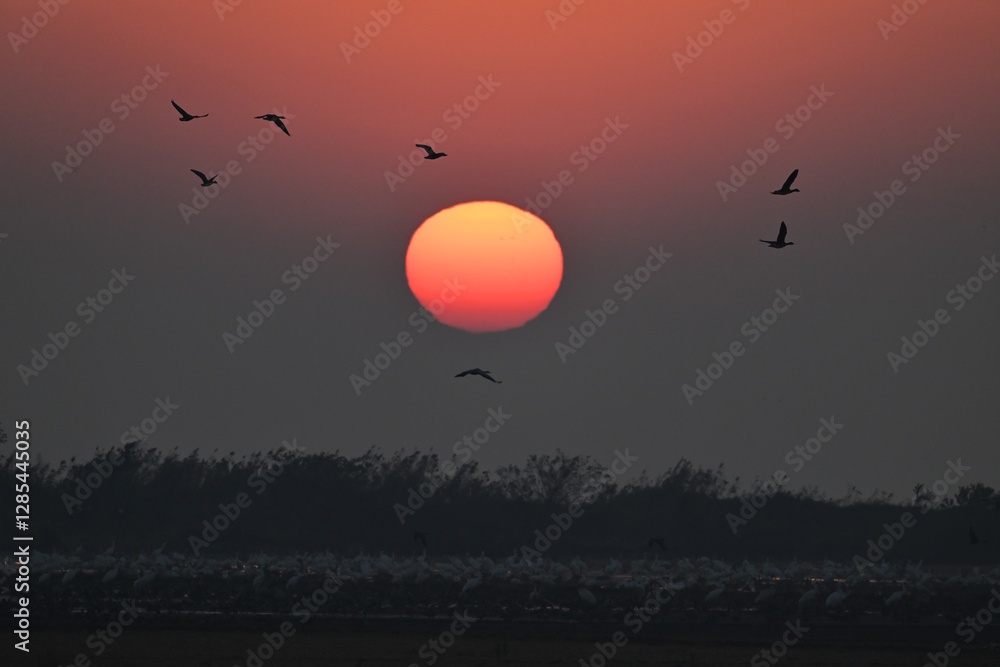 sunset over the mountains