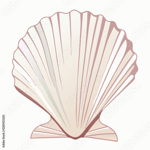 Scallop seashell vector  illustration