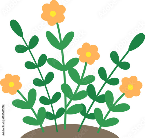 Blooming Flower Growing in Soil. 
Colorful Floral with Green Leaves.
Spring flowerbed icon.
Cute Outdoor Garden flowers Vector.
Transparent background.