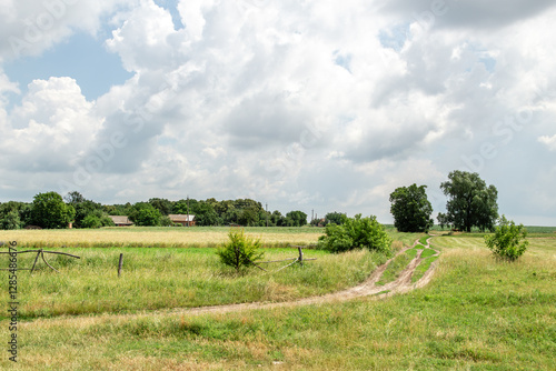 Rural dirt road through grassy countryside
