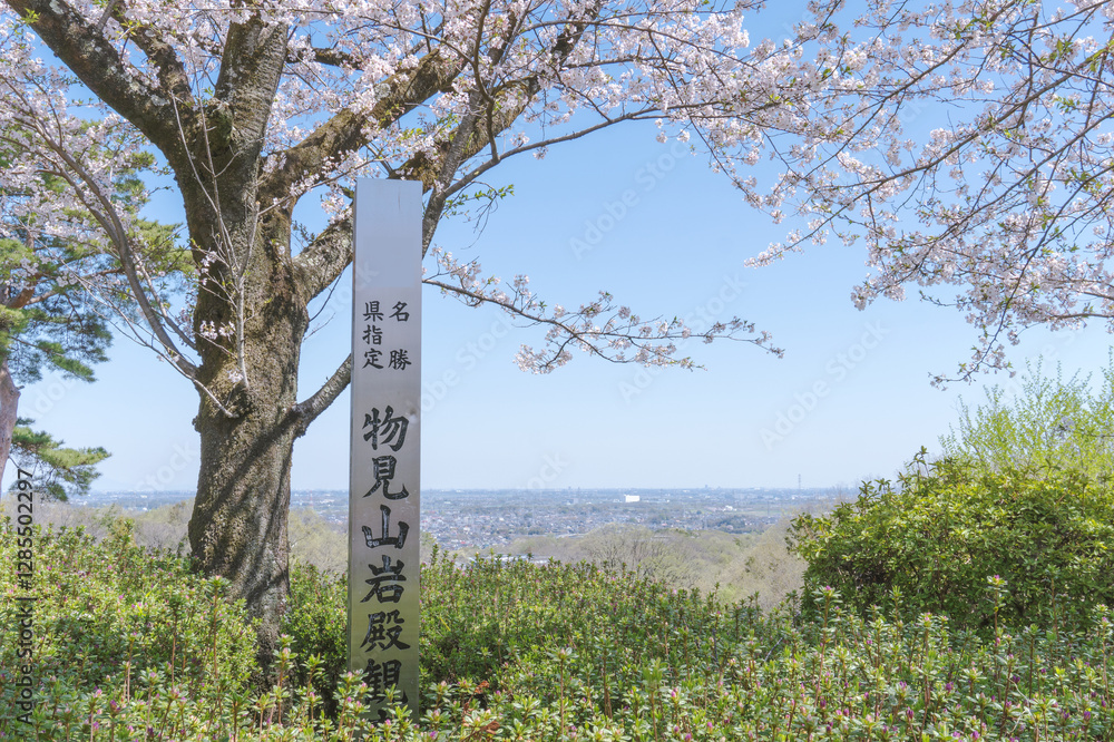 Fototapeta premium 日本：桜の下の地平線と物見山公園の標柱【岩殿丘陵】埼玉県東松山市