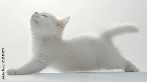 Elegant White Cat Stretching Gracefully Under Soft Light