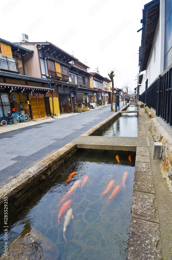 Obraz premium Carp canal at Hida Furakawa town, Gifu prefecture, Chubu, Japan.
