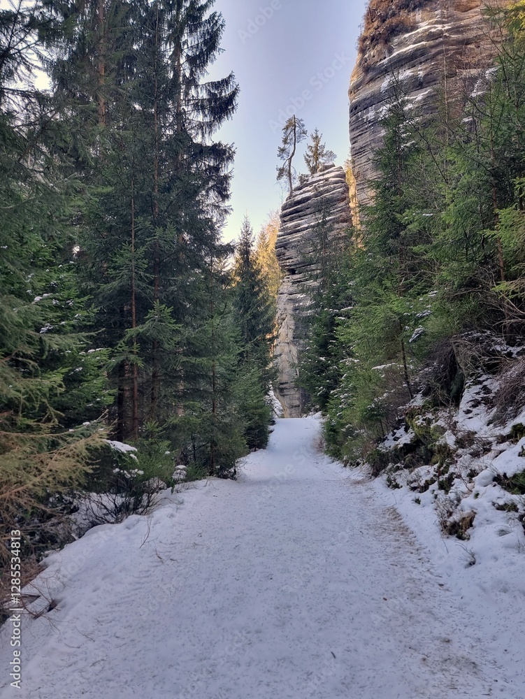 Adrspach-Teplice Rocks in winter