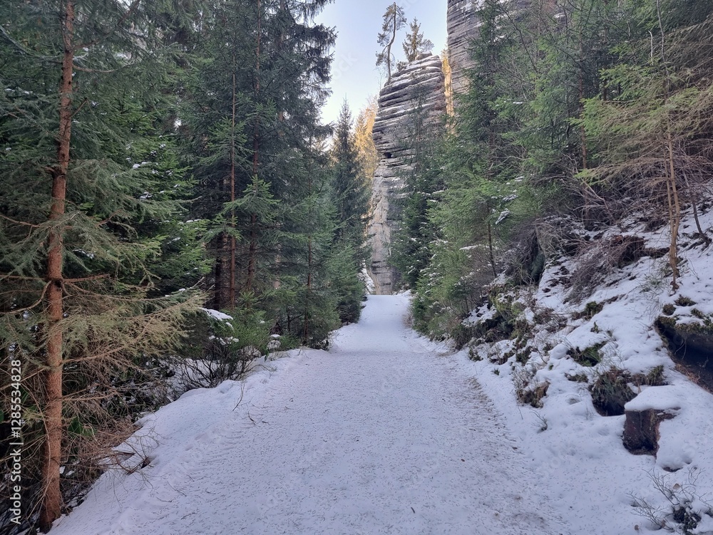 Adrspach-Teplice Rocks in winter