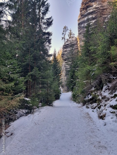 Obraz na płótnie Adrspach-Teplice Rocks in winter w salonie