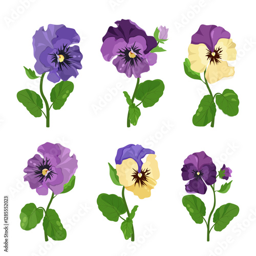 Garden flowers. Pansies, set on a white isolated background. For decorating postcards, web design.