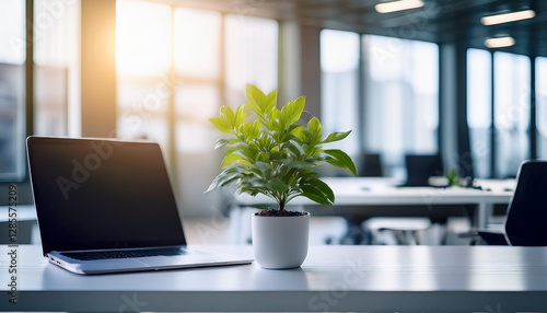 Wallpaper Mural Small plant on a white table with blurred coworking space in the background  
 Torontodigital.ca