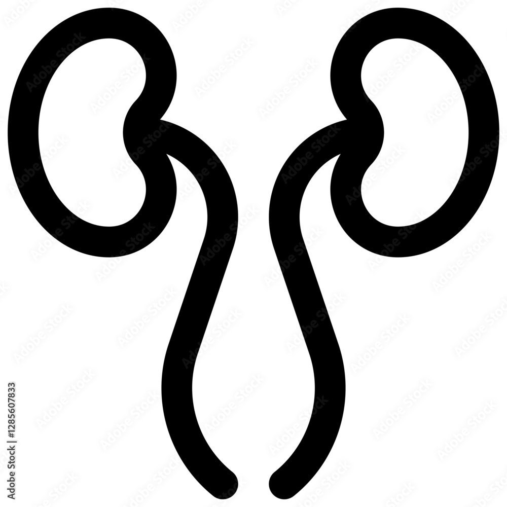 Obraz premium Kidney function test. Editable stroke vector icon.