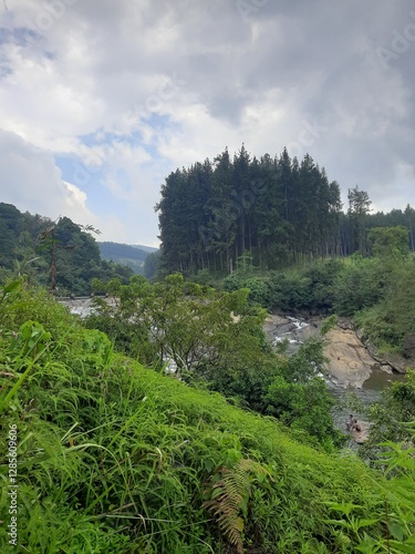 mountain landscape with trees