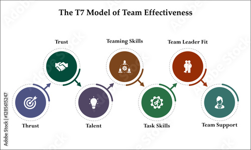 The T7 Model of team effectiveness. Infographic template with icons