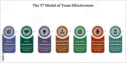 The T7 Model of team effectiveness. Infographic template with icons