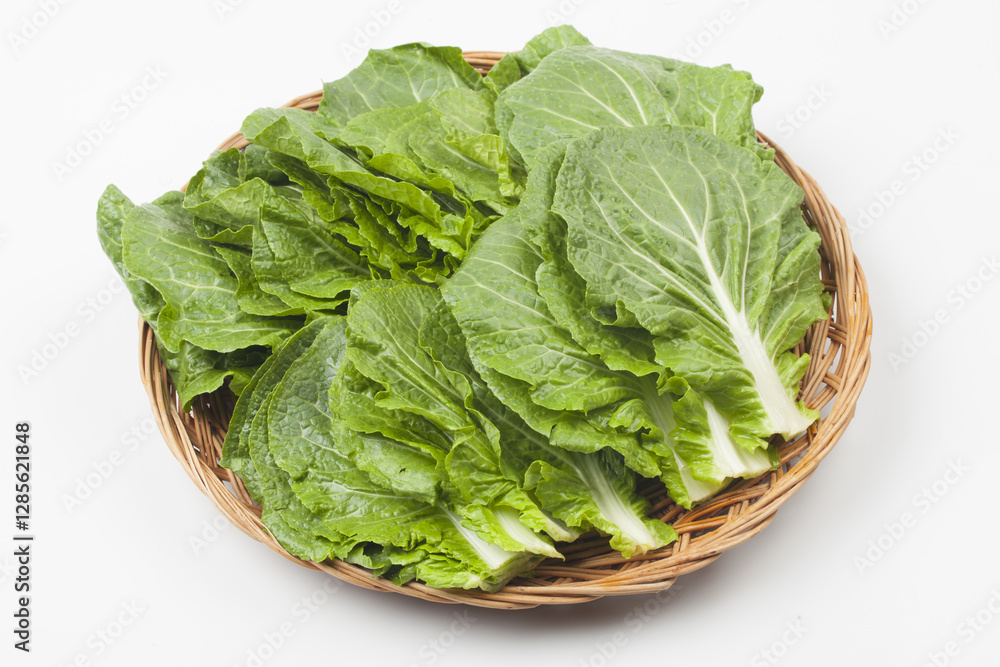 Ssamchu is a variety created by crossing Chinese cabbage and cabbage. Ssamchu is a variety created by crossing Chinese cabbage and cabbage.