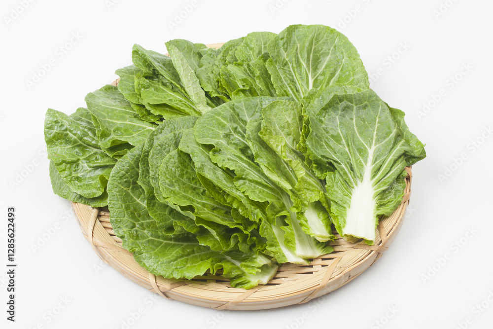 Ssamchu is a variety created by crossing Chinese cabbage and cabbage. Ssamchu is a variety created by crossing Chinese cabbage and cabbage.