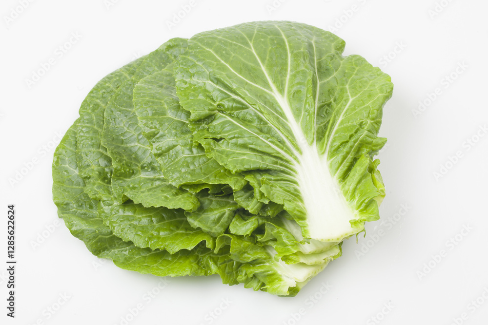 Ssamchu is a variety created by crossing Chinese cabbage and cabbage. Ssamchu is a variety created by crossing Chinese cabbage and cabbage.