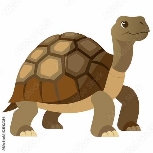 Aldabra Giant Tortoise Vector on White Background