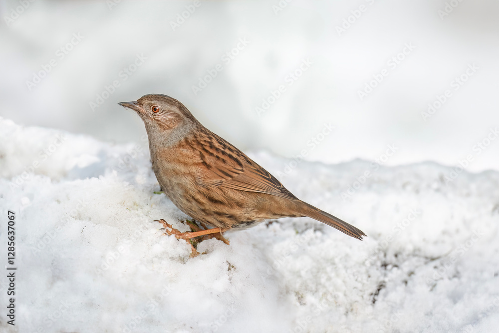 Fototapeta premium Generated image