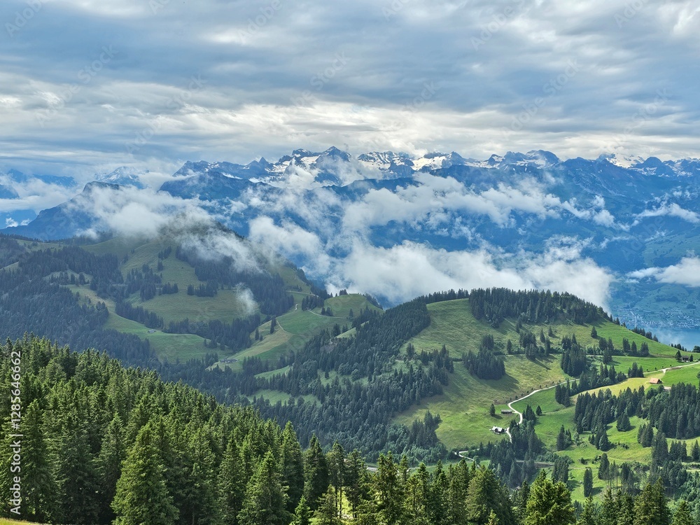 Fototapeta premium A stunning summer view from Mount Rigi, often referred to as the 