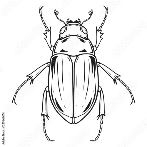 Cute Diving beetle line art silhouette vector graphic illustration.