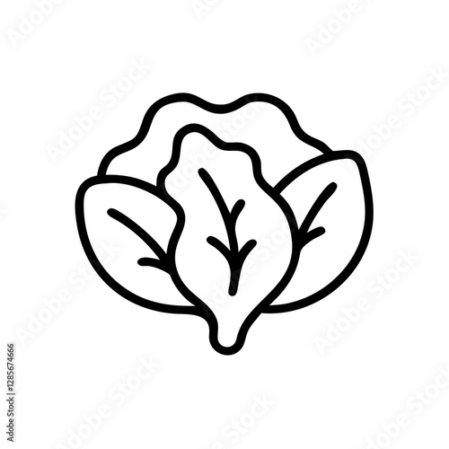 Cabbage vegetable illustration with leaves